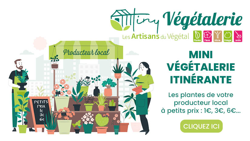 Découvrez notre concept, Tiny Végétalerie !